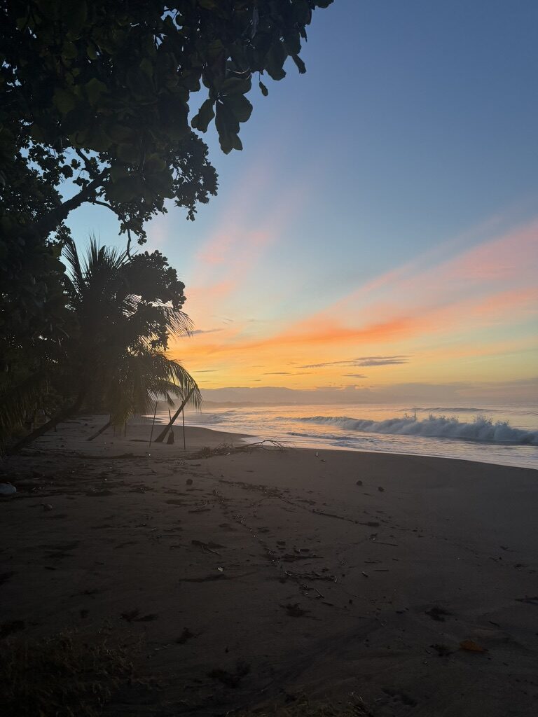 Sunset on the beach under palms